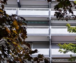 Moseler GmbH Bild 9