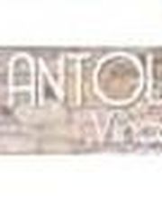 Antolin Vincent EURL image 1