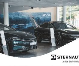 BYD - STERNAUTO Bild 2