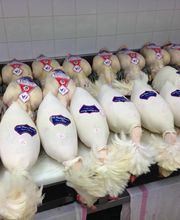 BOUCHERIE NOUVELLE DULONGCOURTY image 14