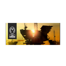 TMV Molinari logo