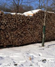 Brennholz Schuller Bild 2