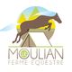 Camping Le Moulian