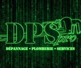 Dps Pro image 2