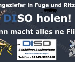 DISO Schädlingsbekämpfung Bild 7