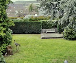Daily Gartenpflege Bild 2