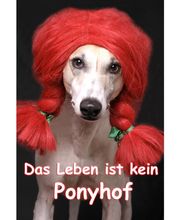 Foto Fehling Inh. Klaus Fehling Bild 1
