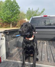 Scott Leming - State Farm Insurance Agent image 18