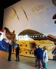 OCINE Premium 7 Palmas imagen 3