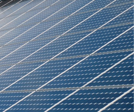 TRIDSOLAR  Inh  Constantin Bus Bild 10