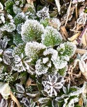 Hypnosetherapie Gerda Hauser Bild 5