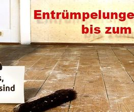 Holzner & Co Transporte Bild 2