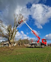 ... unser Gärtner Björn Steffen - Garten- und Landschaftsbau Bild 15