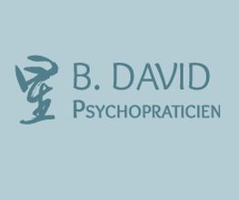 Bernard David image 2