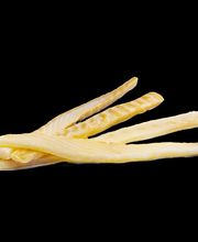 Gourmet delicatessen del mar imagen 3