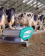 Agrofarm Sàrl Bild 3