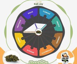 Herbify Cannabis Lovers Delivery immagine 7