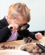 Humankind - Kinderdagverblijf De Groene Parel afbeelding 6