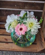 Hellebore image 6