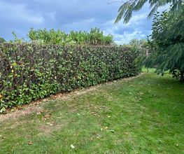 Bellamy espaces verts image 1