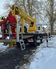 Land- und Forstwirtschaft Moritz Schulze Bild 15