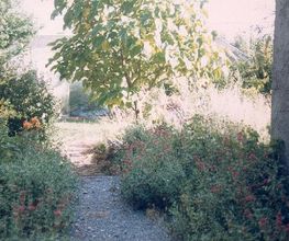 Oisejardin image 2