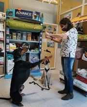 Clínica Veterinaria Huellas imagen 5