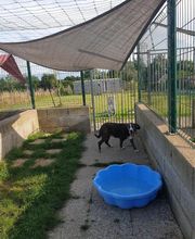 Patchou et Compagnie image 5