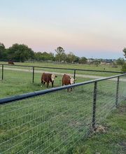 Freedom Fencing LLC image 7