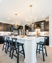 Lindley Ridge at Chatham Hills New Homes in Westfield by Fischer Homes image 11