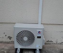 APEC image 8