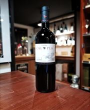 El Celler de la Ribera imagen 9