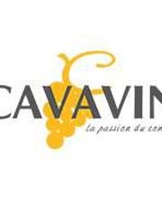 CAVAVIN image 3