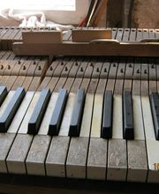 K. Hutzelmann Pianohaus Bild 2
