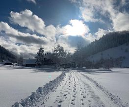 Erlebnisfasten - Fastenwandern Schwarzwald Bild 5