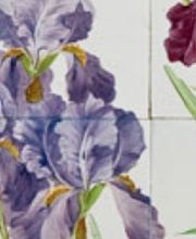 Musée de Carouge Bild 6