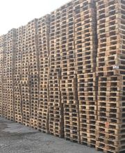 PSN PALETTES image 3