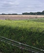 Kerviel Franck image 15