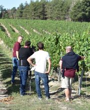 Domaine Gardien image 1