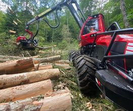 Passion Forêt SA Bild 2