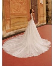 Alliance Elixir image 19