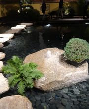 Hirschi Marcel Bild 4