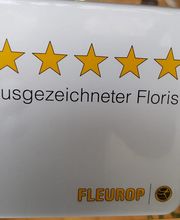 Rosenthal - DAS BLUMENGESCHÄFT Bild 1