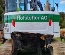 Bauunternehmung Hofstetter AG | Hochbau, Tiefbau, Gartenbau Bild 2