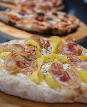 Gallery Professionale