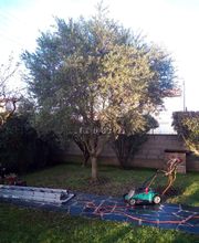 Multi Services Occitanie image 6