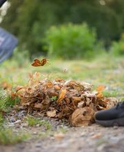 Haus und Garten Wernigerode Bild 2
