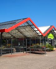 Pflanzencenter Dill Bild 2