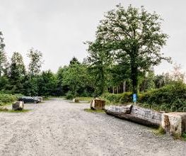 FriedWald Bramsche Bild 12