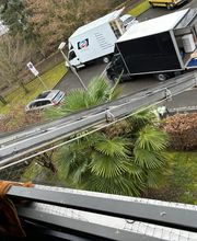 Excellence Umzüge Bild 3